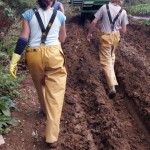 Lithuanian workers near Camborne