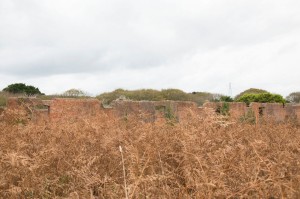 Remains of the National Explosives Factory